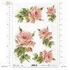 retro, roses, bouquets, rose flowers, rose branches, buds, leaves, foliage, garden, Retro, Rosen, Rosenstrauß, Sträuße, Rosenblüten, Rosenzweige, Knospen, Blätter, Garten, retro, rosas, ramos de rosas, flores de rosas